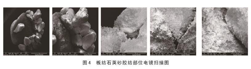 圖4板結石英砂膠結部位電鏡掃描圖